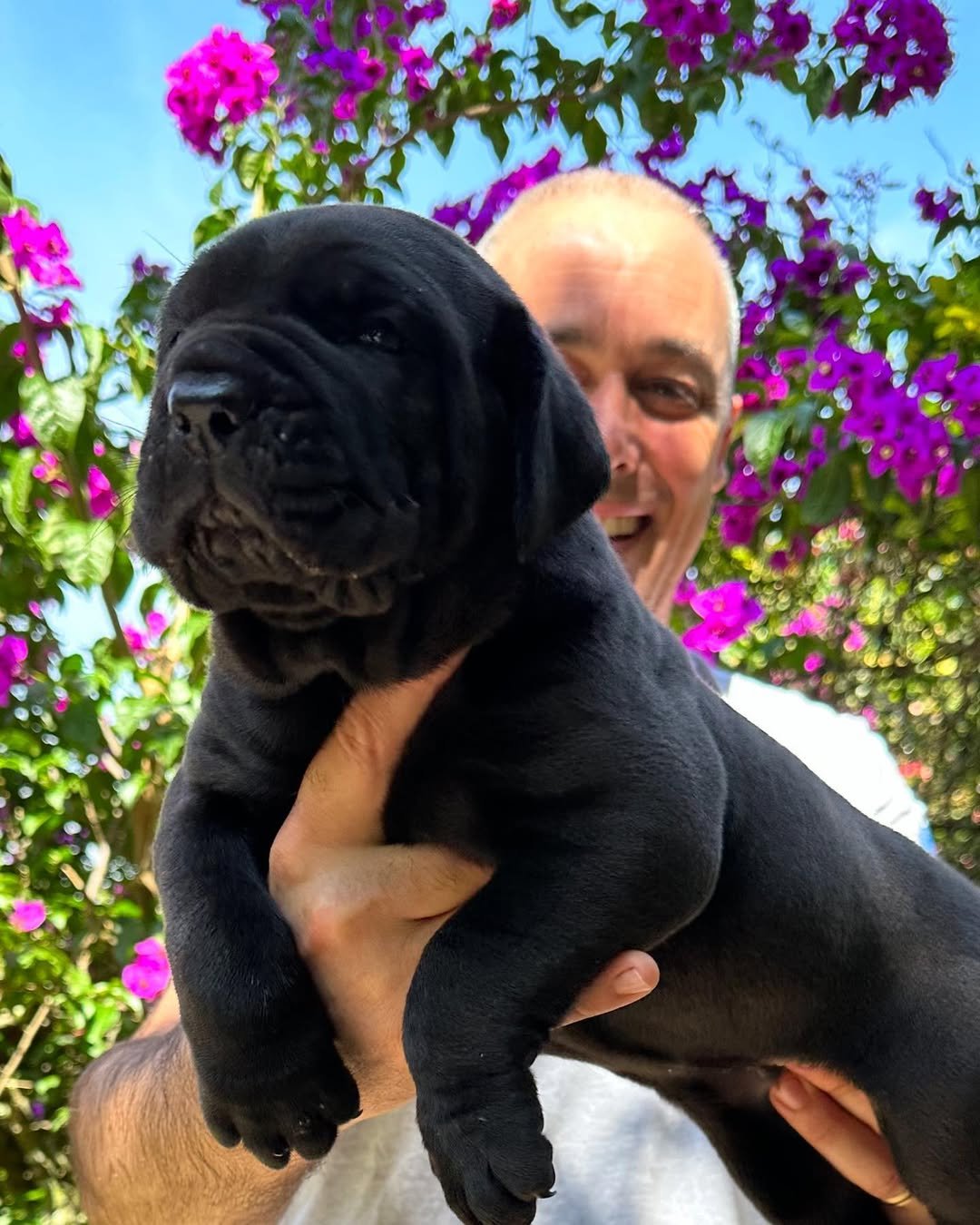 Frank Bloebaum — Master Breeder