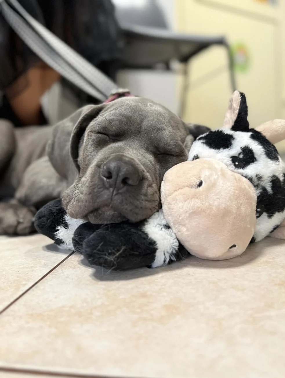 Luna